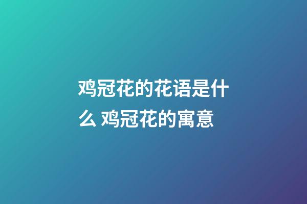 鸡冠花的花语是什么 鸡冠花的寓意